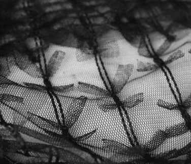 Women's bows reveal crop tops